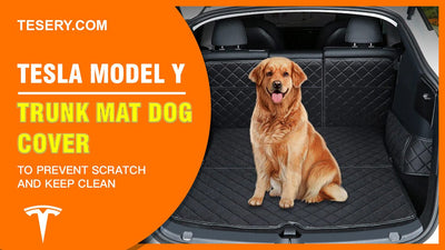 Tesla Bagaj Matı Köpek Kapağını Model Y ile satın almak gerekli mi?