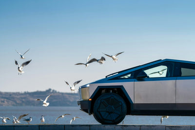 Tesla Cybertruck, Autocross Etkinliğinde Etkileyici Cyberbeast’in Yol Tutuşuyla Şaşırttı
