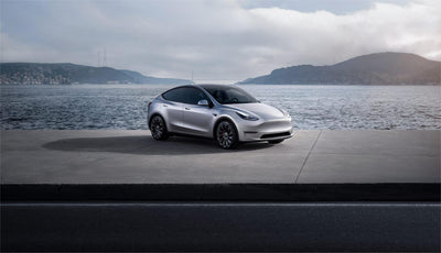Tesla Model Y ABD Elektrikli Araç Pazarına Hakim: 1. Çeyrek Satış Verilerinden İçgörüler