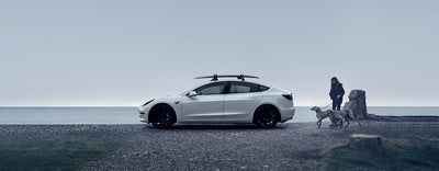 Model Y/3 için Tesla Tavan Rafı: Bilmeniz Gerekenler?