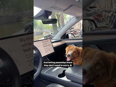 The Ultimate Guide to Tesery Tesla Model Y Dog Mode