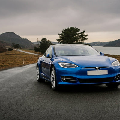Bu İmza Tesla Özelliği En Büyük Pazarlarından Birinde Yasakla Karşı Karşıya