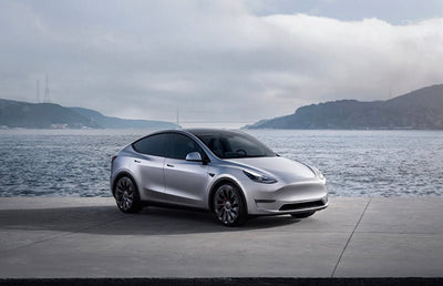 Tesla Mil Kontrolü Nasıl Yapılır