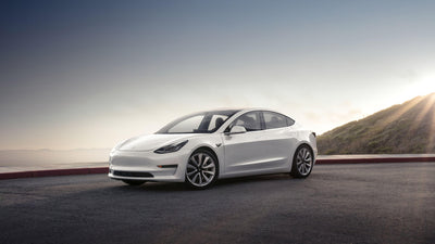 Beyaz Tesla Koltukları Nasıl Korunur?
