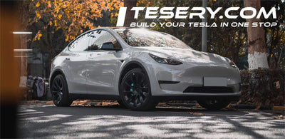 Tampa'nın DASH Programı: Şehir Merkezi Hareketliliği için Tesla Model Y Yolculukları
