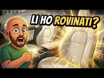 Tesery Model 3/Y Center Console Organizer Review: No More Mess - Tesery Official Store