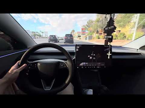 Tesery Tesla Dog Seat Cover: Ultimate Pet Protection