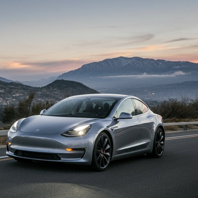 Tesla Bay Area Otonom Filosu 100'den Fazla Birime Yükselecek: Elon Musk