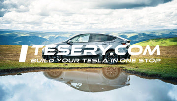 Tesla China: A Bump in September Sales, Yet Strong Q3 Performance Shines Bright - Tesery Official Store