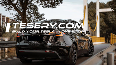 Tesla Çin Trendi Yıkıyor: Sigorta Kayıtları Düşüşe Rağmen Artış Gösteriyor