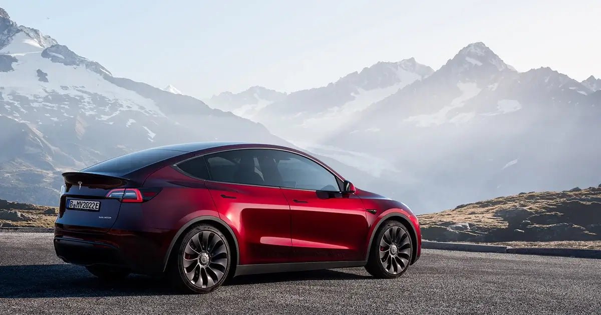 Tesla Cybertruck: Conquering Land and Sea – A Glimpse into Its Versatile Prowess - Tesery Official Store