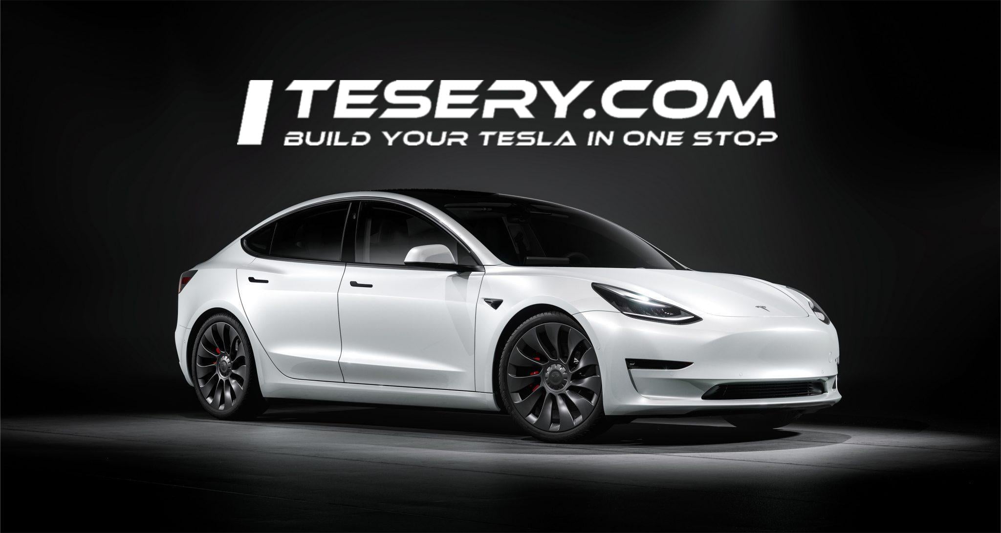 Tesla Inches Closer to Entering the Indian Market with Talks on Domestic Production Facility - Tesery Official Store
