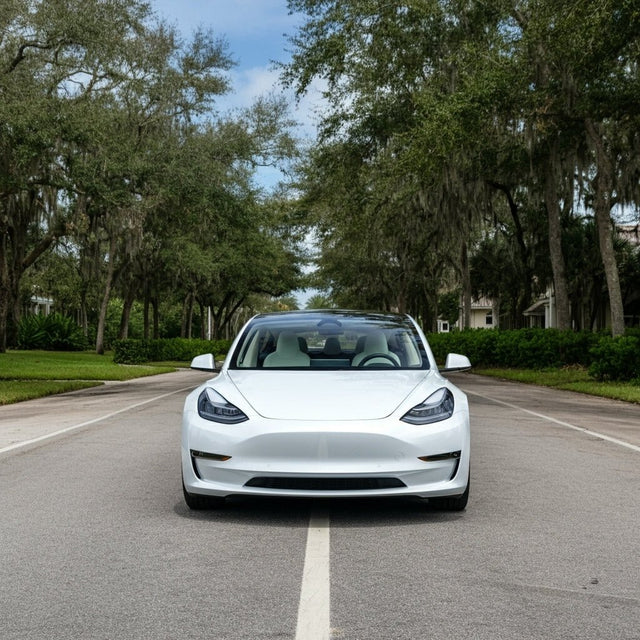Tesla Sigortası Resmen Florida'ya Genişliyor, On Üçüncü ABD Eyaleti