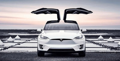 Tesla Öncülük Ediyor: Filonun Elektrifikasyonunda Bir Öncü