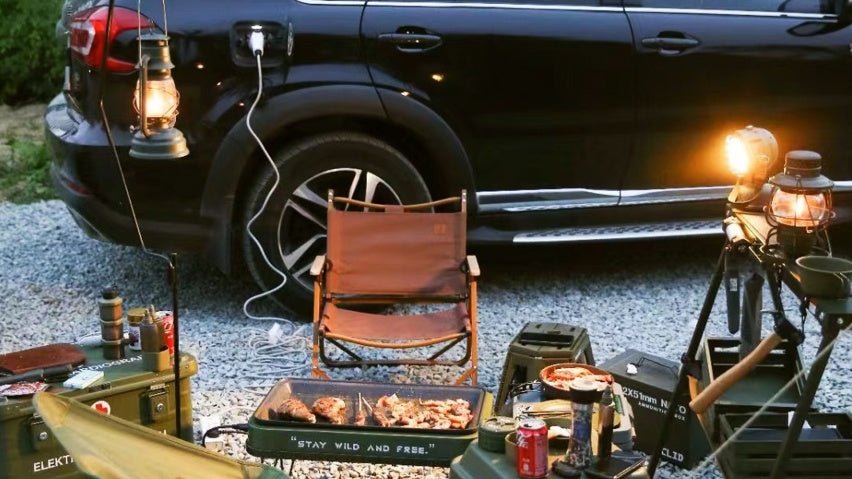 Tesla On-the-Go: Top Accessories for Your Camping Needs - Tesery Official Store