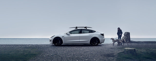 Model Y/3 için Tesla Tavan Rafı: Bilmeniz Gerekenler?