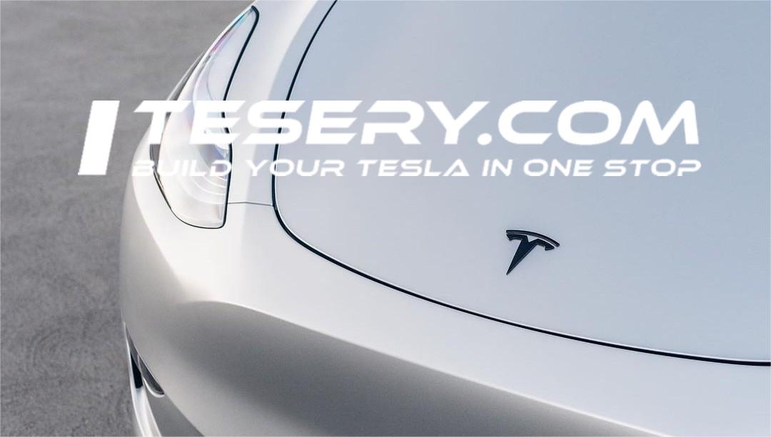 Tesla Shareholders Stand to Reclaim $12,000 Each Over Musk's 'Funding Secured' Incident - Tesery Official Store