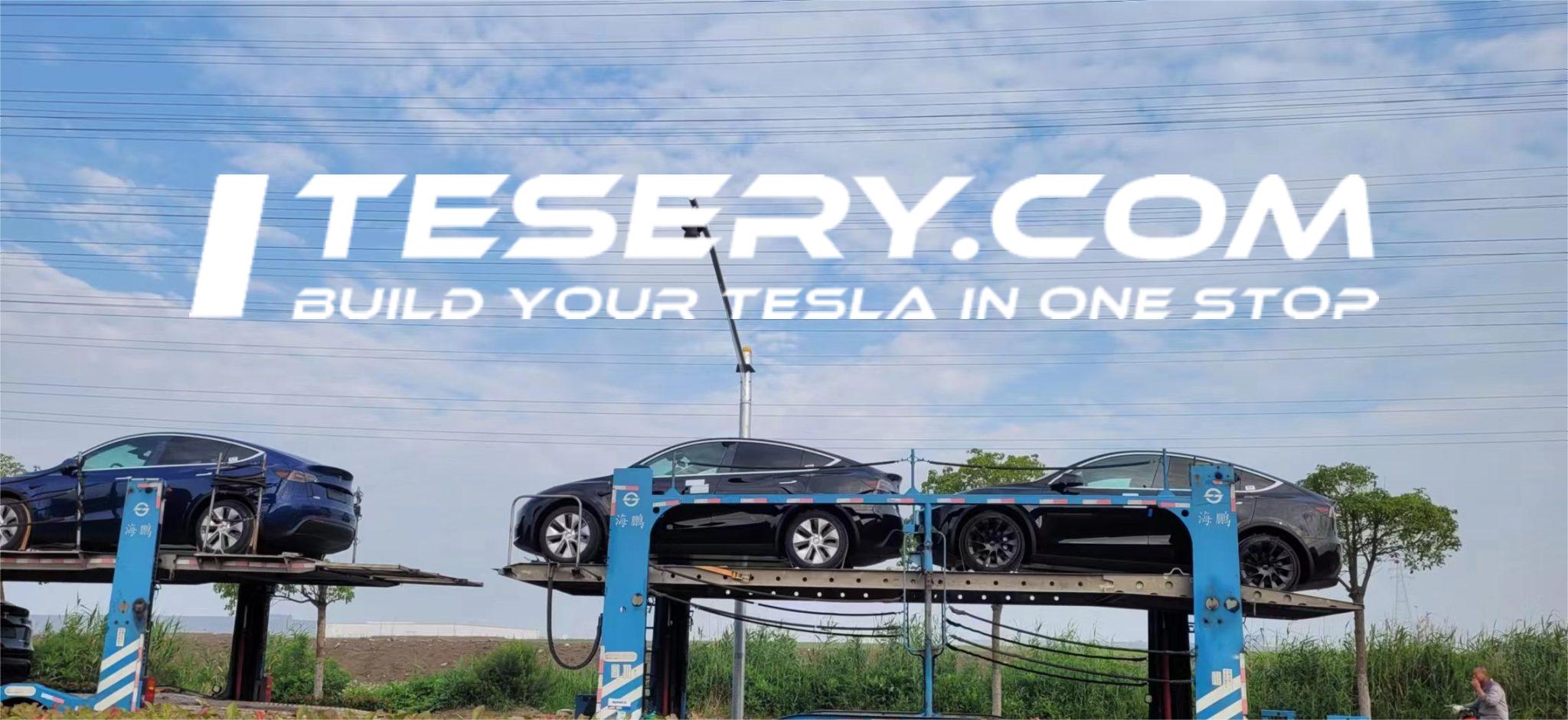 Tesla's August Surge: Impressive China Sales Numbers Signal Strong Momentum - Tesery Official Store