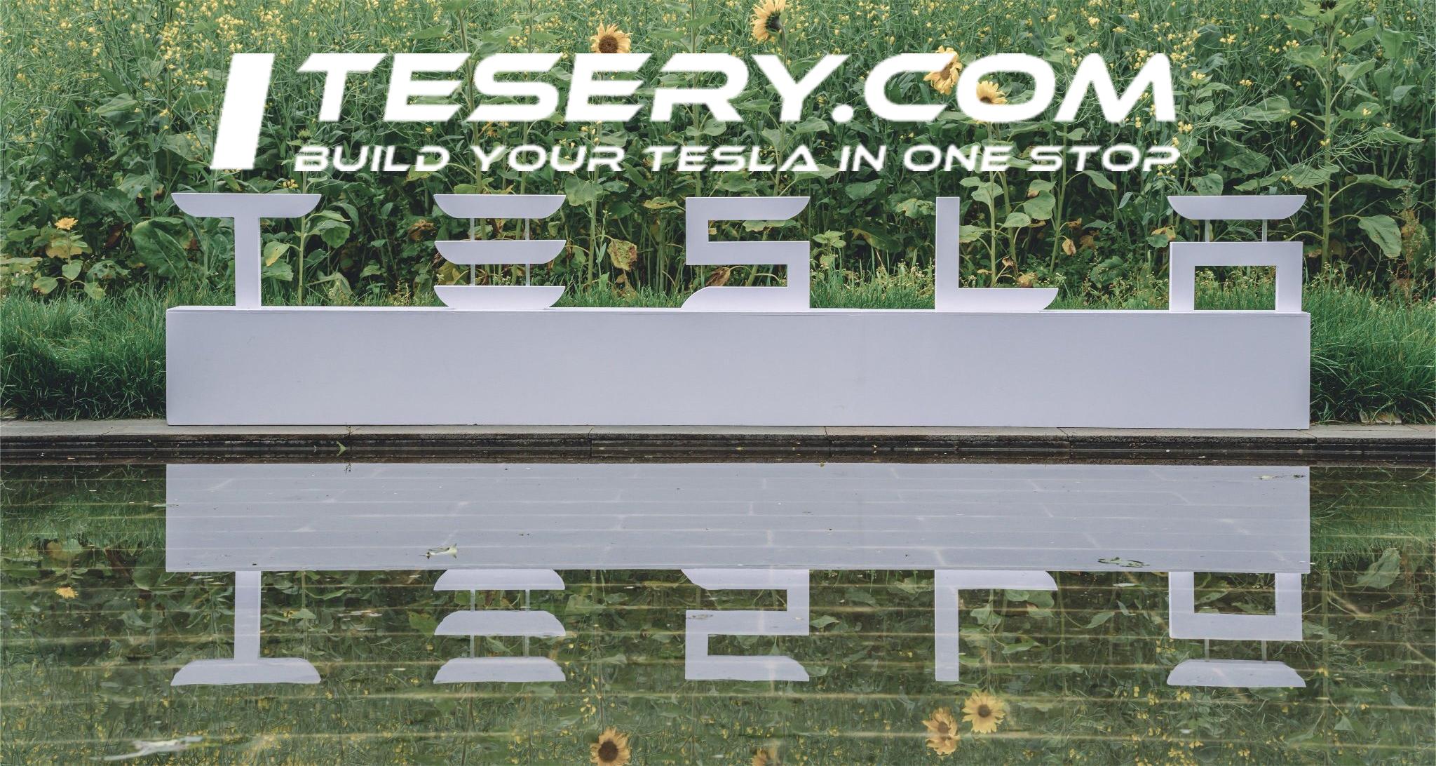 Tesla's Closer Look at Potential Market Entry in India - Tesery Official Store