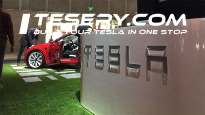 Tesla'nın Endonezya'daki Yatırım Planları: Pil Malzemeleri Tesisi İncelemesi