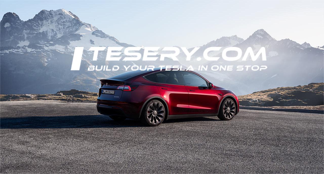 Tesla's Price Rollercoaster: Drops in the US, Rises in Europe - Tesery Official Store