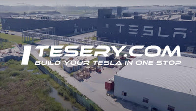 Tesla'nın Çin Otomobil Pazarındaki Yükselişi: Ağustos Geri Dönüşü