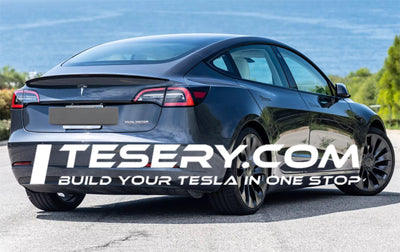 Hırsızlığa Karşı Dayanıklı Tesla'lar: Tesla'nın Yenilmez Güvenliğinin Arkasındaki Sırları Açığa Çıkarma