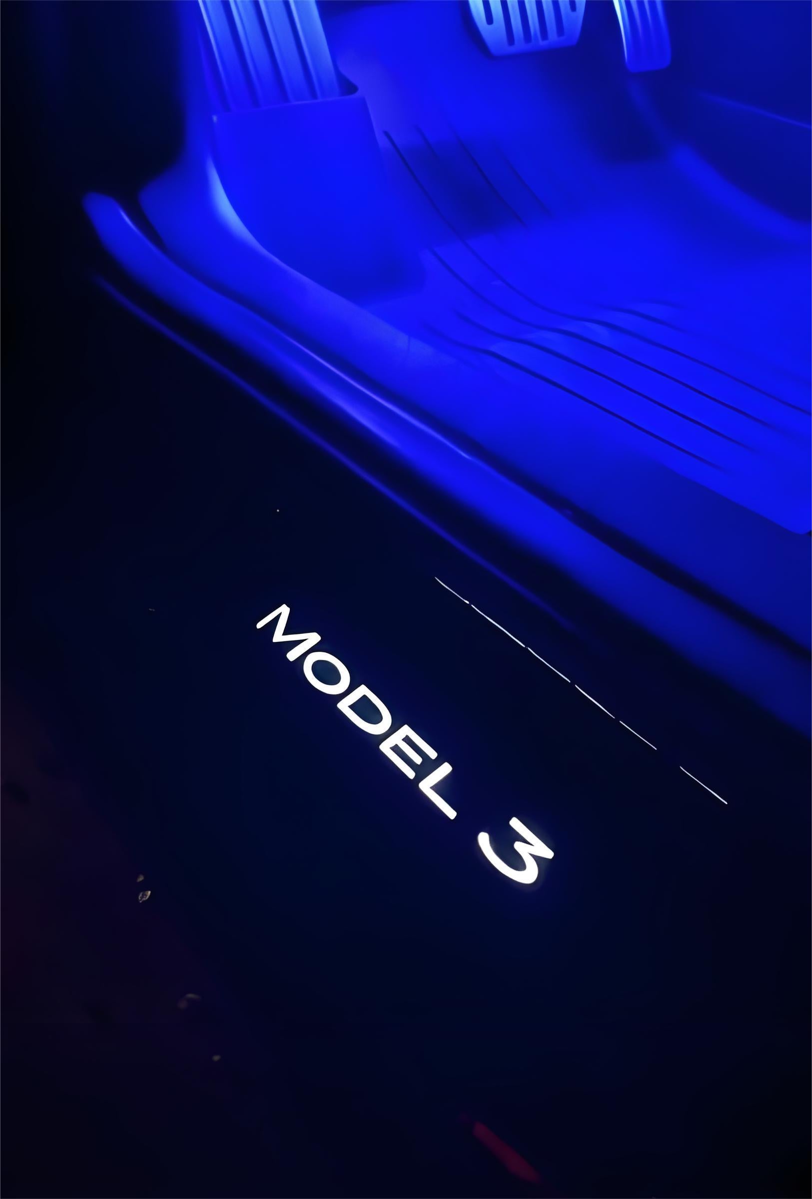 LED Illuminated Door Sill Protector Front Door for Model 3 / Y