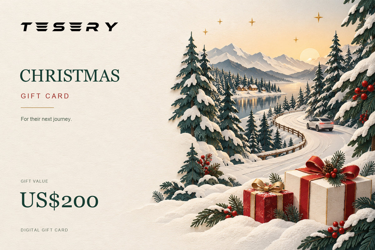 TESERY Christmas digital gift card with the official TESERY logo and US$200 gift value, snowy winter journey design